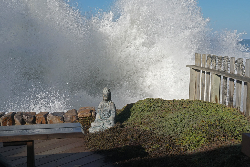 The Most Expensive Photograph I Have Ever Taken Last Monda… Flickr