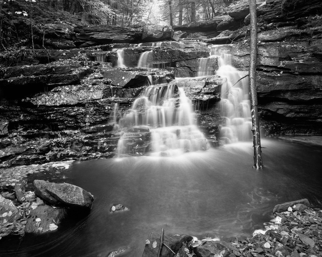 Unnamed Falls Ricketts Glen State Park, October 2020. Intr… Flickr