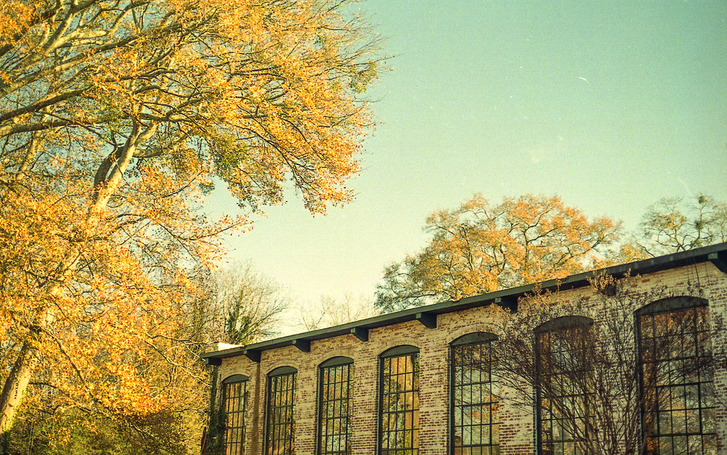 Fall at the Lofts Hampton, Kodak Ultramax 400 film… Neal