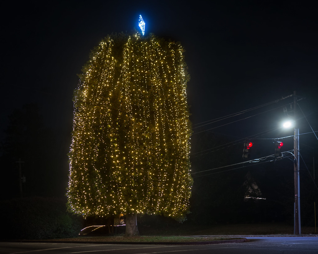 Avondale City Christmas tree a photo on Flickriver