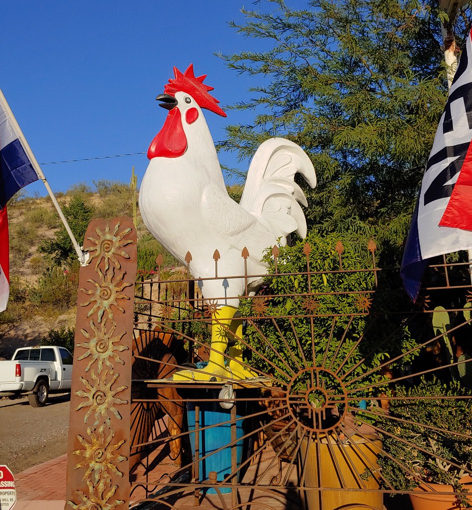 Giant Rooster This rooster statue sits at Son Silver West … Flickr