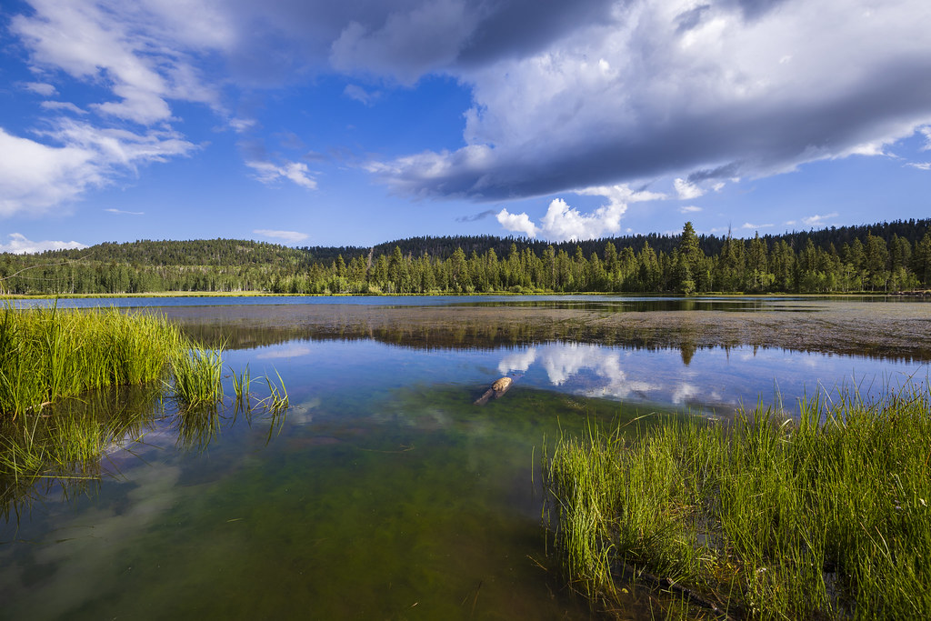 Duck Lake Morning Explore 12/23/2020 Duck Lake, near Duc… Flickr