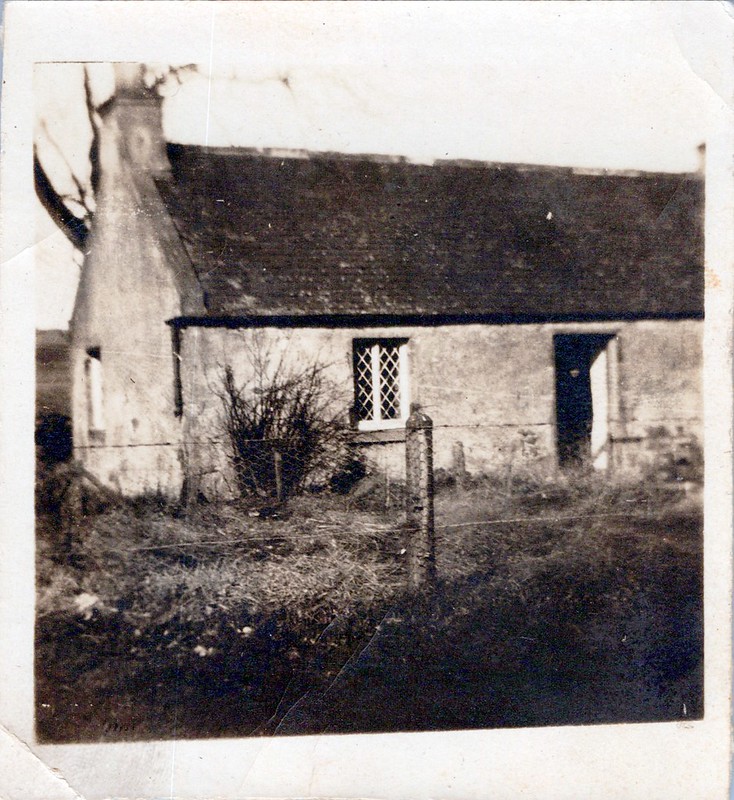 newly uploaded pics Flickr