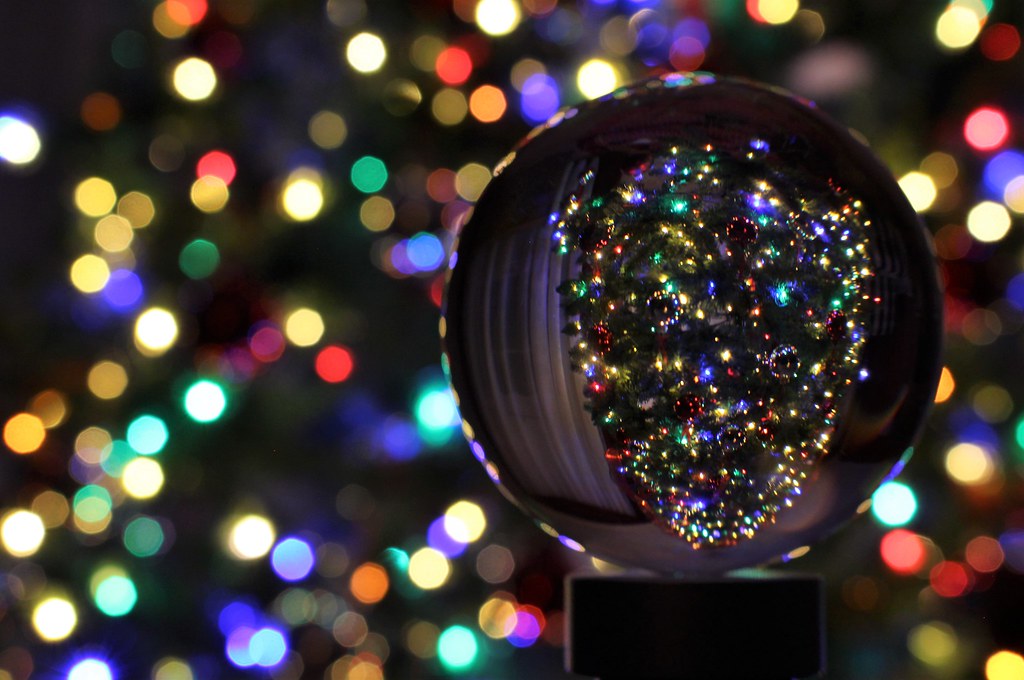 Those Christmas lights keep shining on a photo on Flickriver