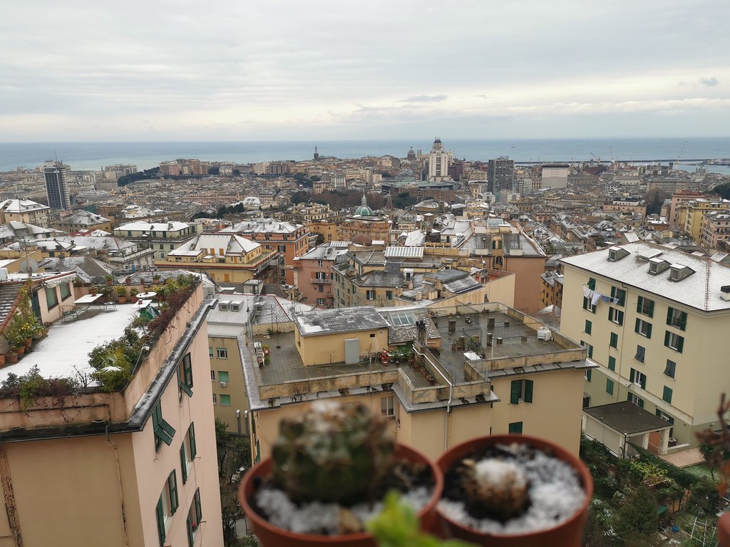 La neve a Genova ! Una spruzzata. Ieri eravamo a 15 gradi.… Flickr