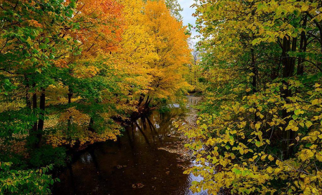 _DSC2651dai Autumn at Walcott Farms Michigan Jason McCoy Flickr