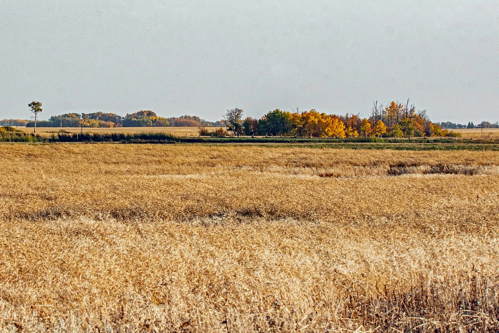 Land For Sale Newdale at Heather Akins blog