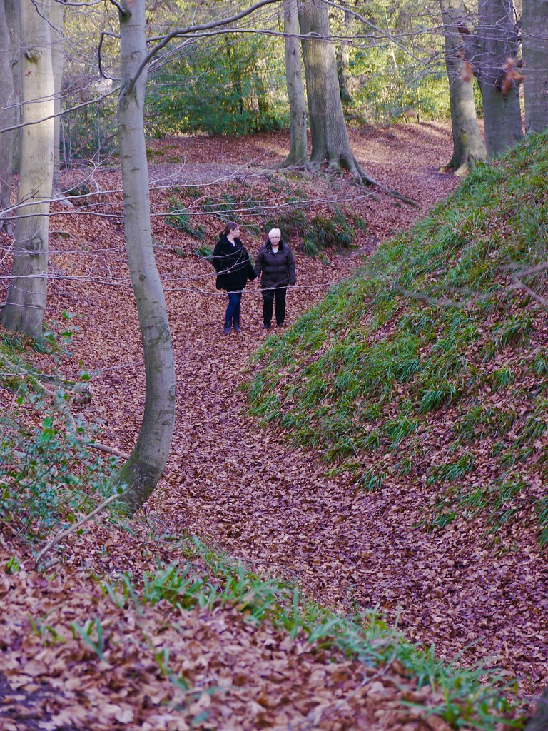 CHOLESBURY HILL FORT CHOLESBURY BUCKS Cholesbury Camp i… Flickr