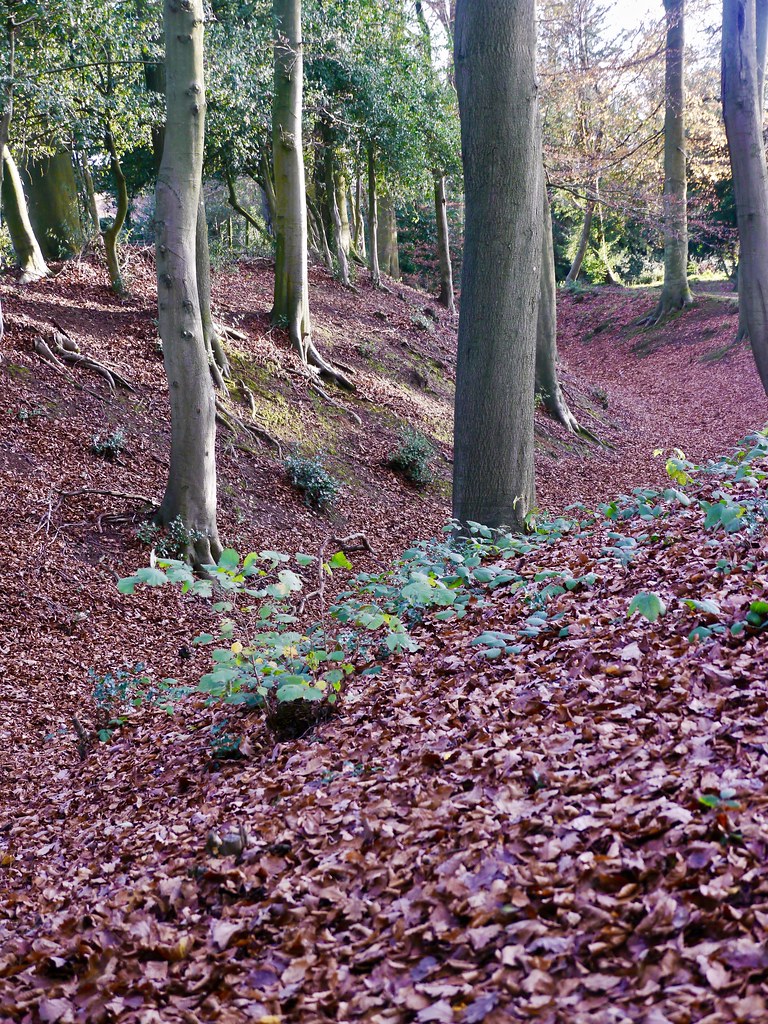 CHOLESBURY HILL FORT CHOLESBURY BUCKS Cholesbury Camp i… Flickr