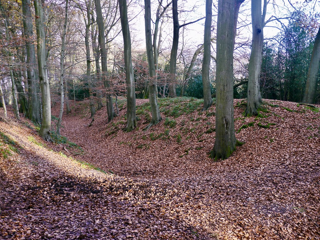 CHOLESBURY HILL FORT CHOLESBURY BUCKS Cholesbury Camp i… Flickr