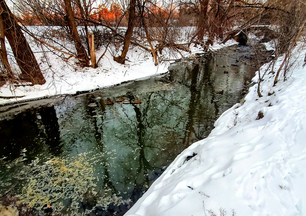 Sawmill Creek, near where it joins the Rideau River Flickr