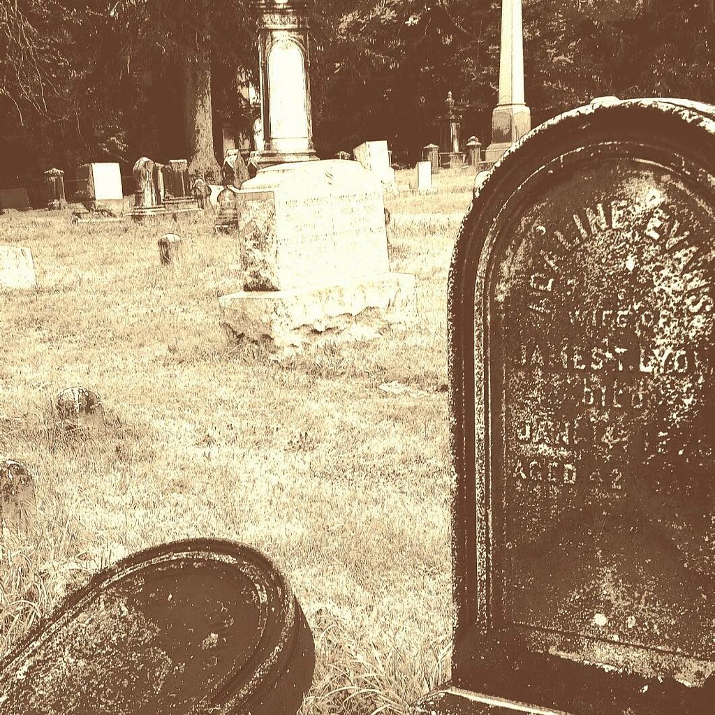 Old cemetery stones S Van Vranken Flickr