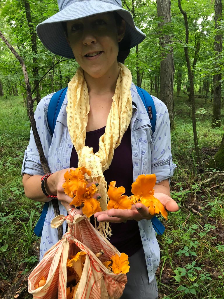 Chanterelles! Chanterelle is the common name of several sp… Flickr