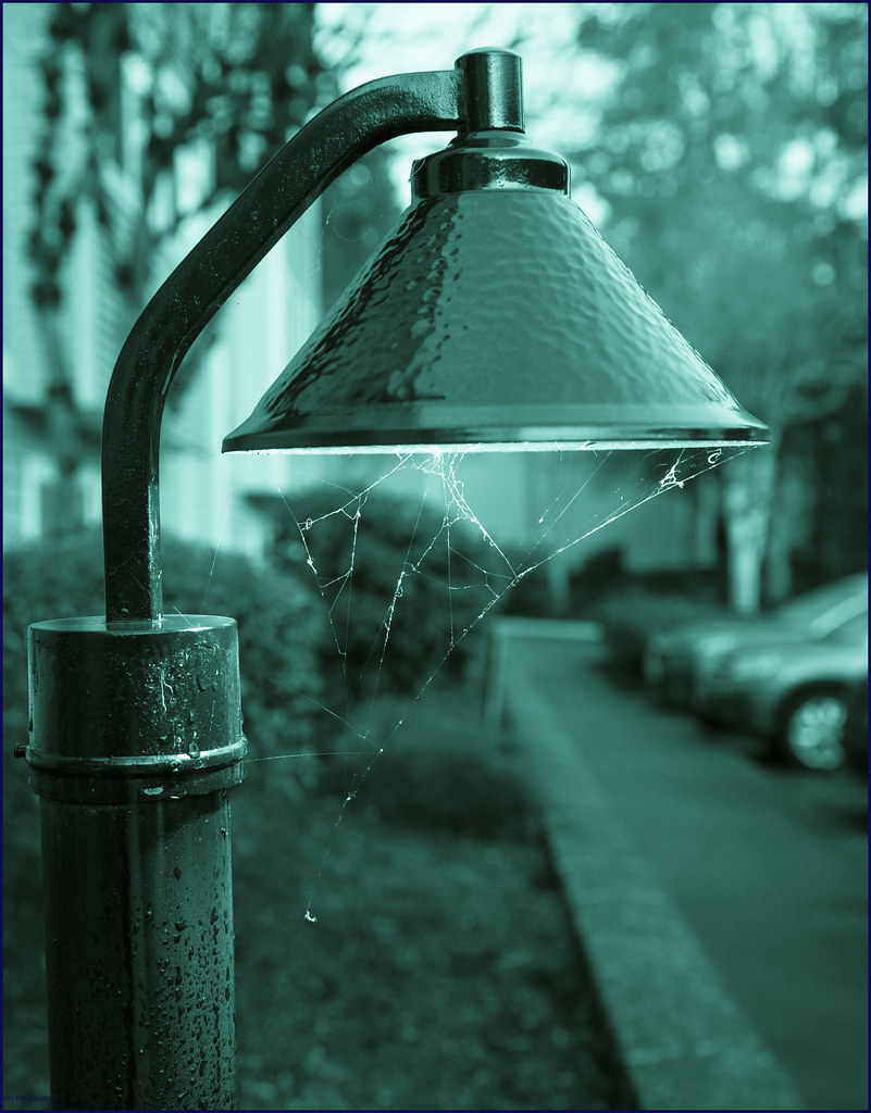 Light Post Scott Smithson Flickr