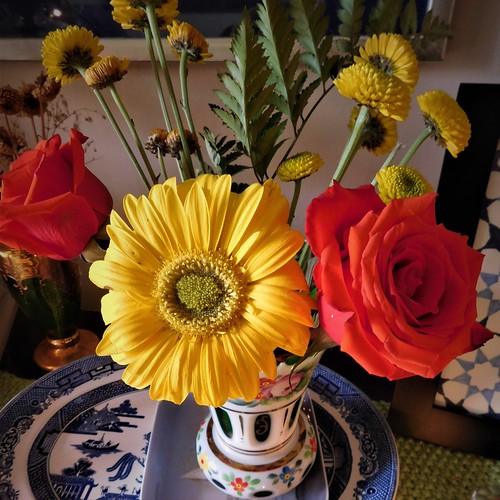 Valentine flowers from my sweetie 2020 SARA Tusek Flickr