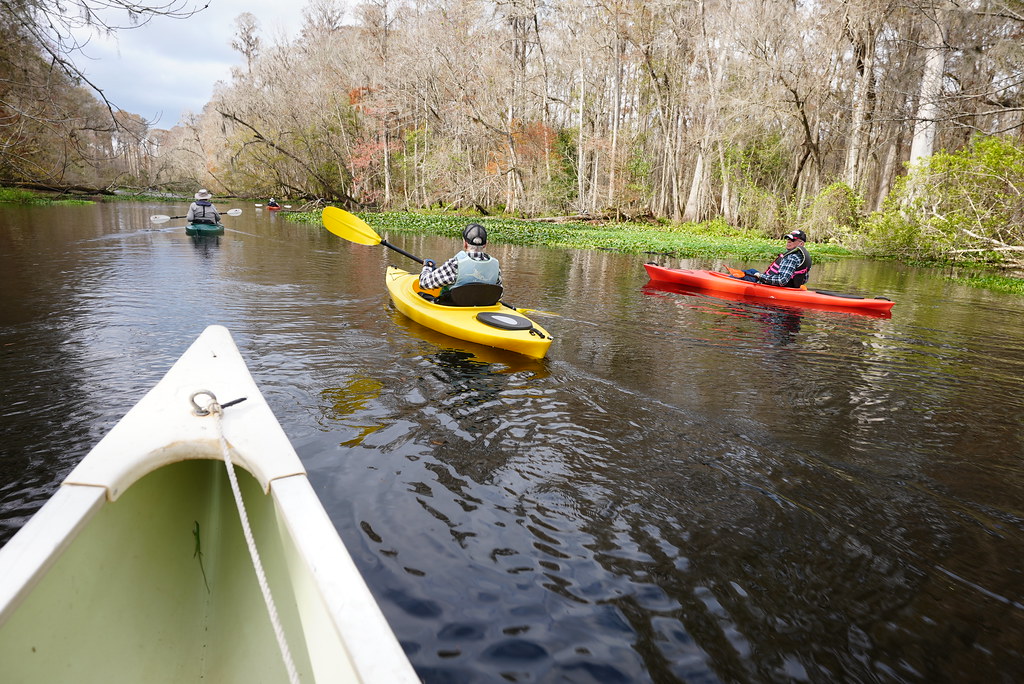 Hillsborough River Canoe Trip January 2021 PilotGirl Flickr