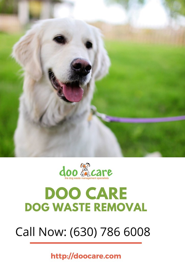 Elmhurst, Naperville and Downers Grove Dog Poop Removal Flickr