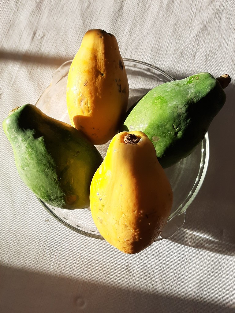 morning light papaya papaya Leigh Siderhurst Flickr