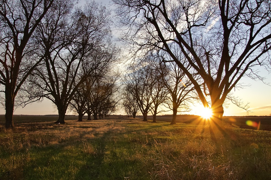 1220 Lake Village Arkansas Flickr