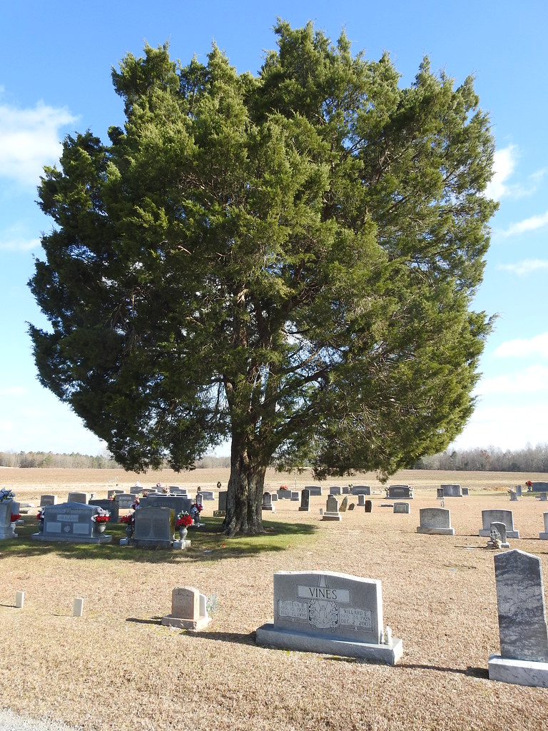 Shiloh Baptist Church Cemetery Cherokee County, Alabama Fi… Flickr