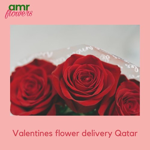 Valentines flower delivery Qatar qatar.amrflowers.qa/categ… Flickr