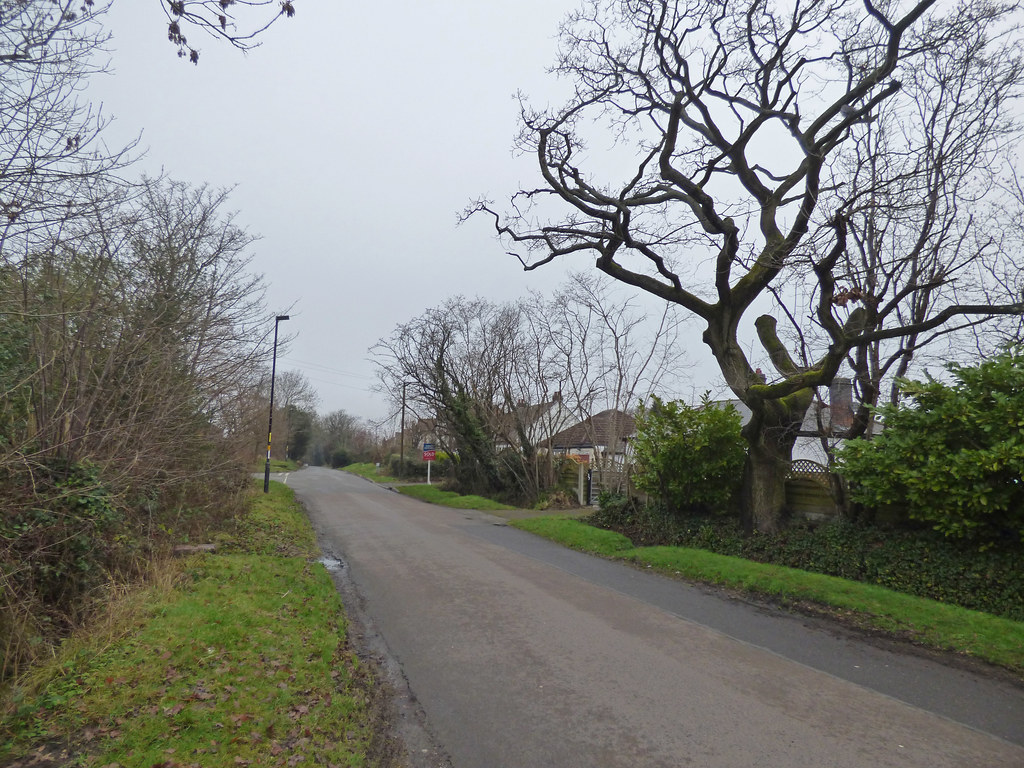 b Lane, Hall Green A walk down b Lane in Hall Green.… Flickr