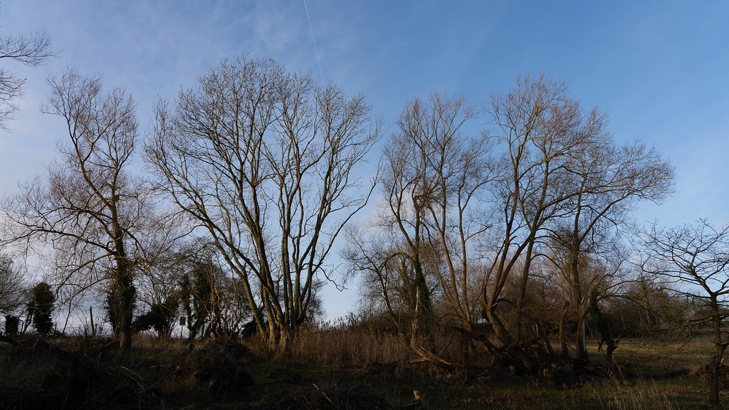 Lye Valley Lye Valley, Oxford Ross Mackenzie Flickr