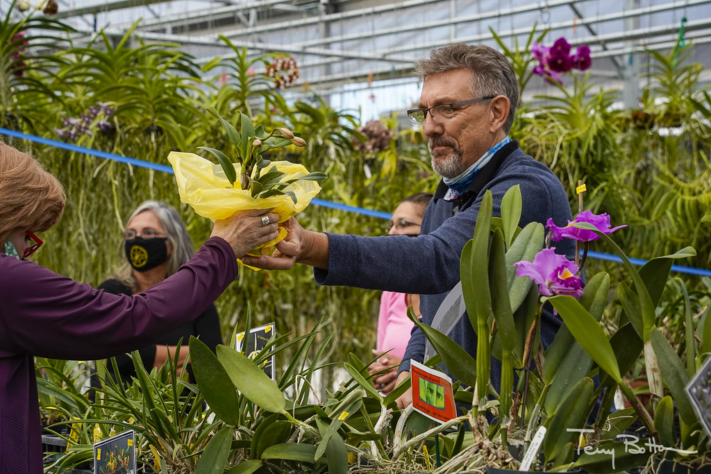 2021 01 16 Apopka International Orchid Festival Flickr