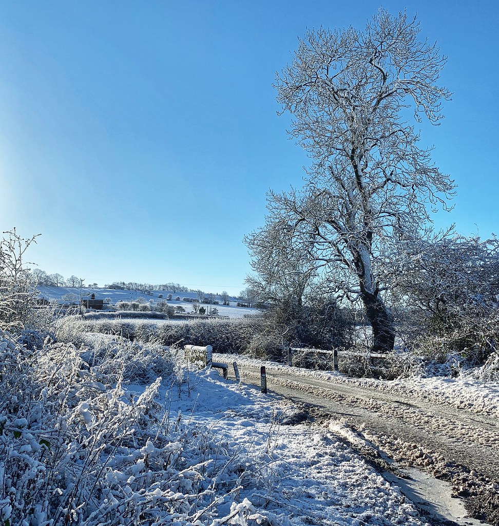 Frosty Lane Dave Snowdon Flickr