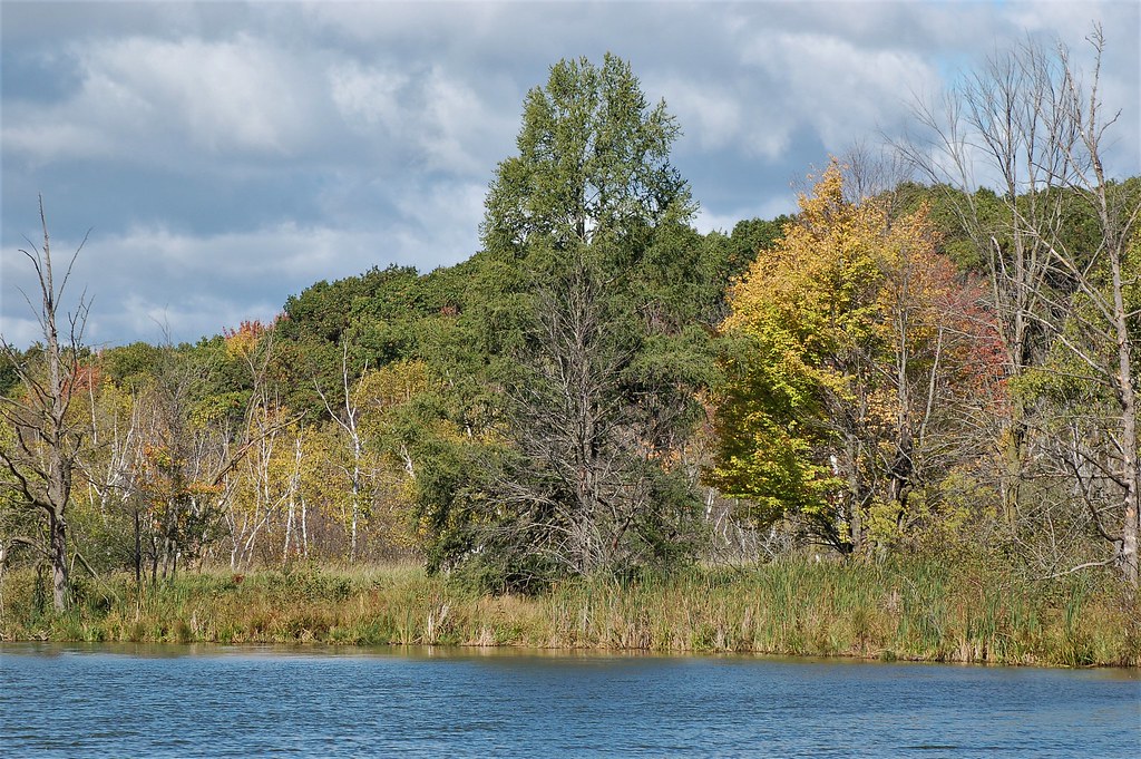 Tamarack, Minnesota, Ramsey County White Bear Lake, Tamar… Flickr