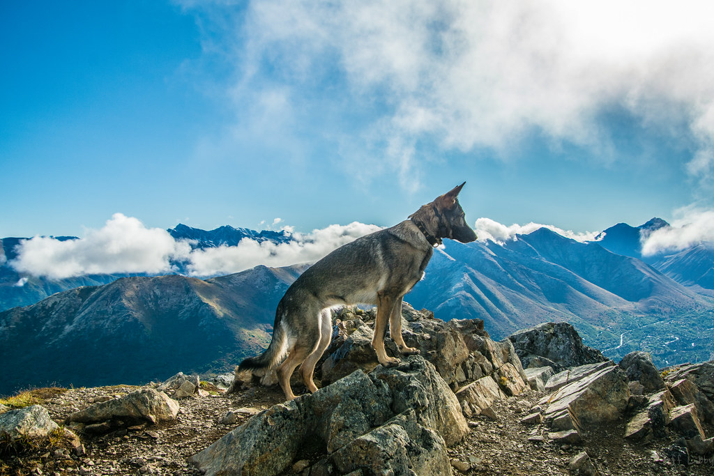 Photos from 2020 by Jeff Libby Maine Guide Jeff Libby Flickr