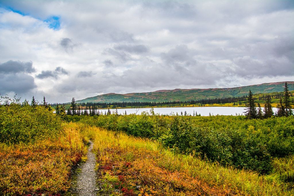 Photos from 2020 by Jeff Libby Maine Guide Jeff Libby Flickr