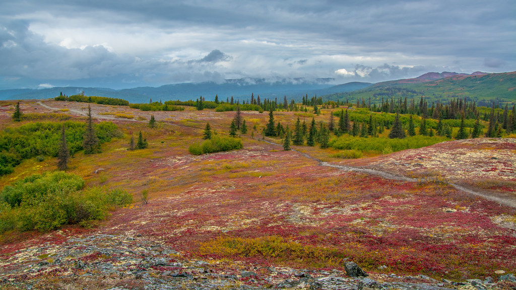 Photos from 2020 by Jeff Libby Maine Guide Jeff Libby Flickr