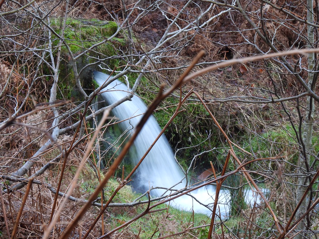 Spring, Blaen Bran Reentrant, Upper Cwmbran 21 January 202… Flickr