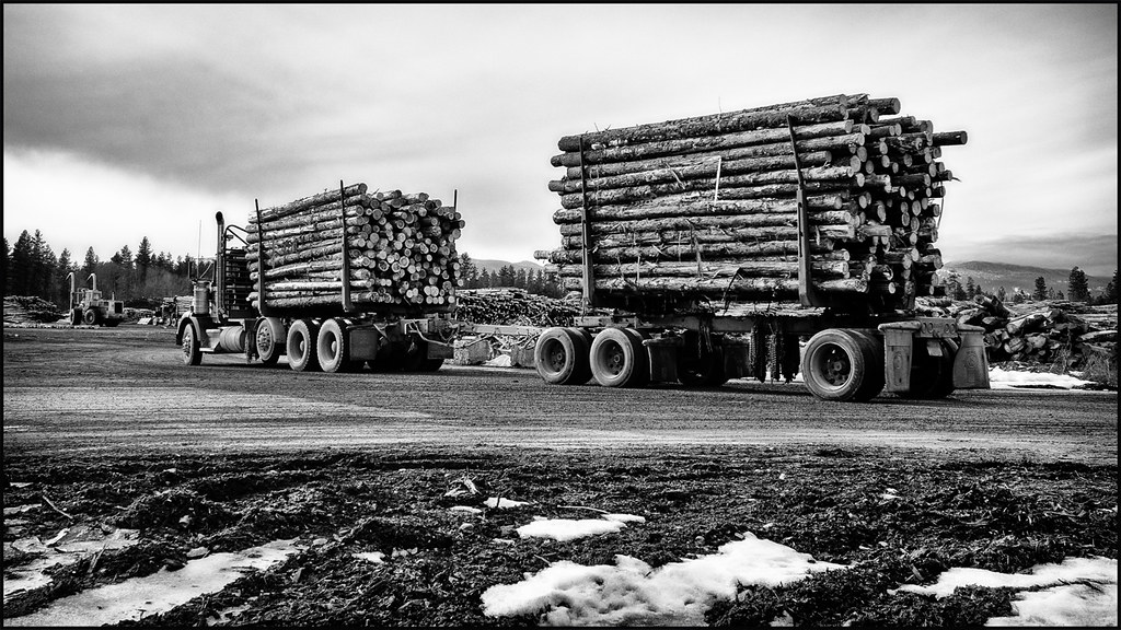 IronAndWood2 Usk Lumber Mill. Washington State. USA _Walt_ Flickr