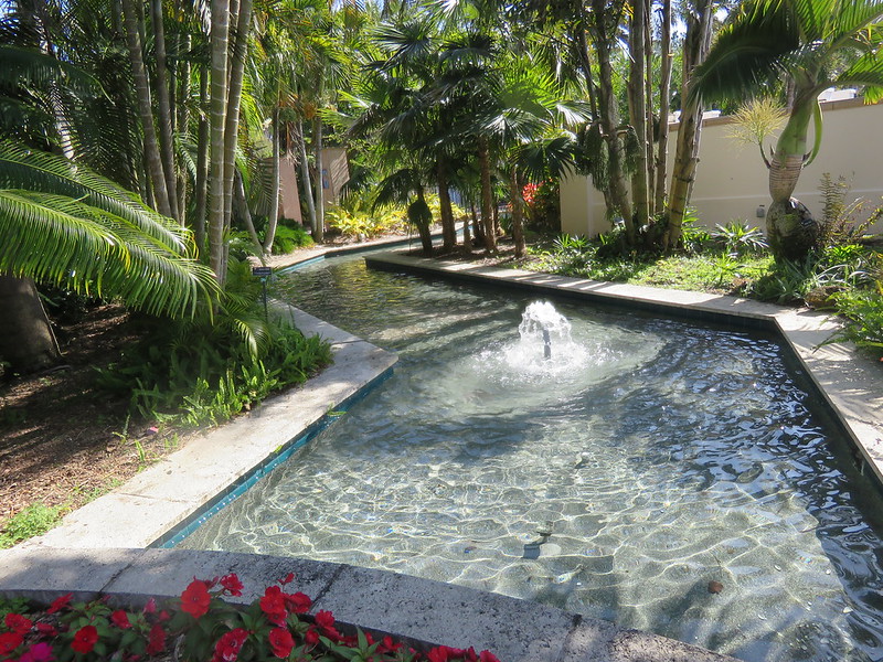 A Walk in the Pinellas County Botanical Gardens The Electronic Nomad