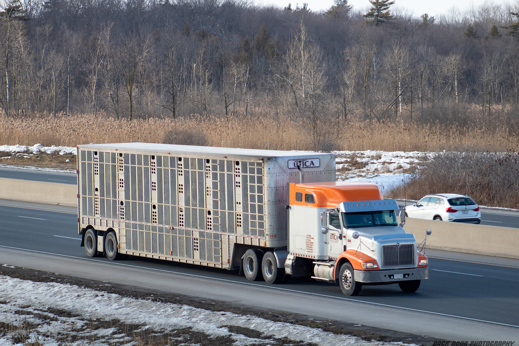 Utica Livestock Carriers Unit 106 Trailer 115 Plate Ontar… Flickr