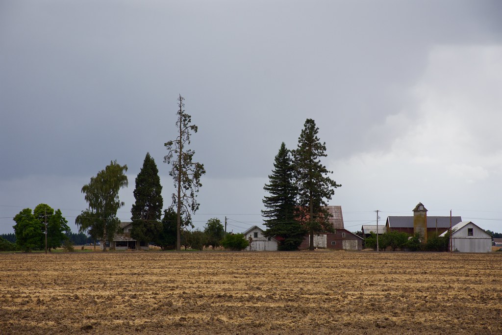 DSC_3987a9 Somewhere along Oregon State Highway 228 north… Flickr