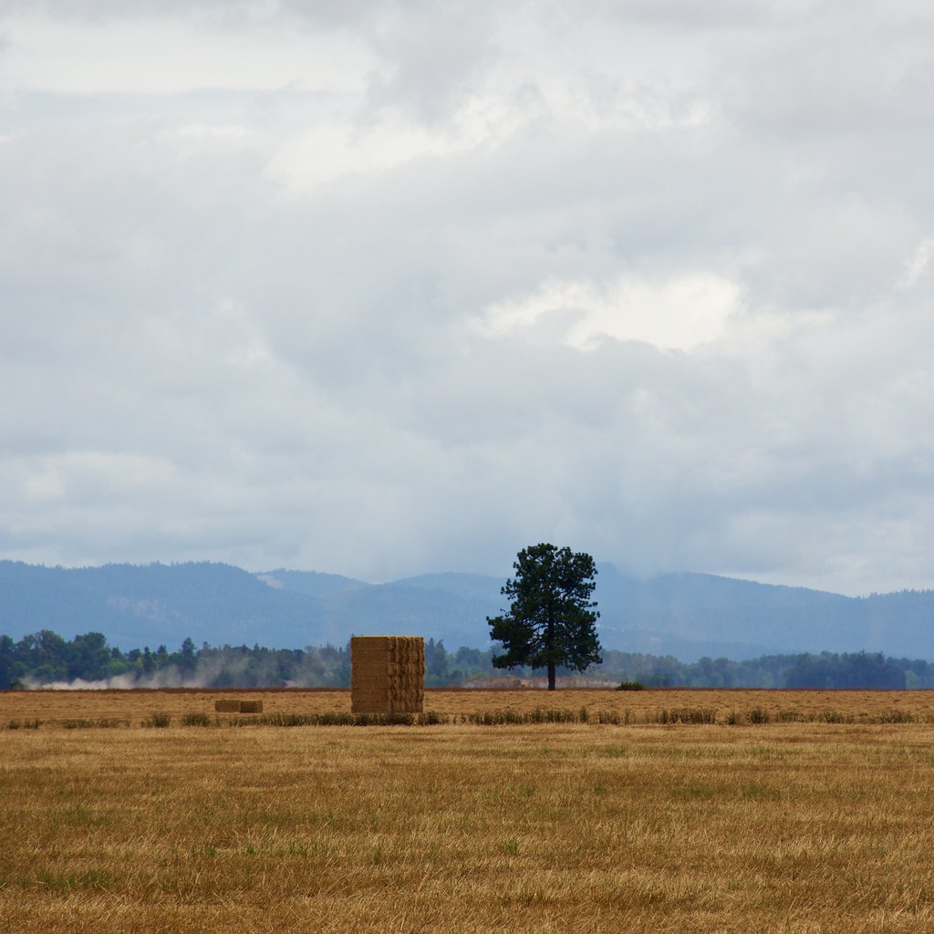 DSC_3986a8 Somewhere along Oregon State Highway 228 north… Flickr