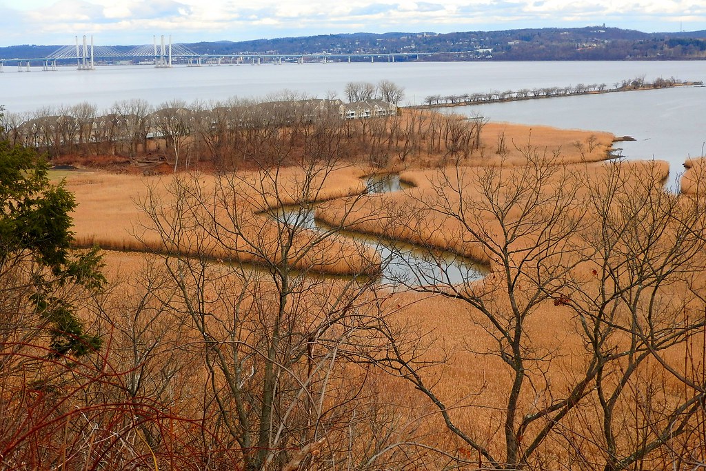 Piermont Salt Marsh Stanley Zimny (Thank You for 66 Million views