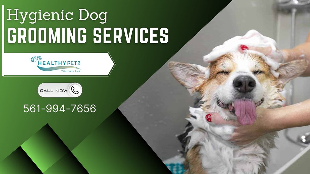 Affordable Dog Grooming Service Near Me We know how much y… Flickr