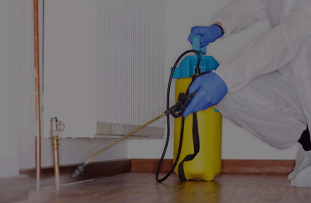 Pest Control in San Antonio Pest Control in San Antonio So… Flickr