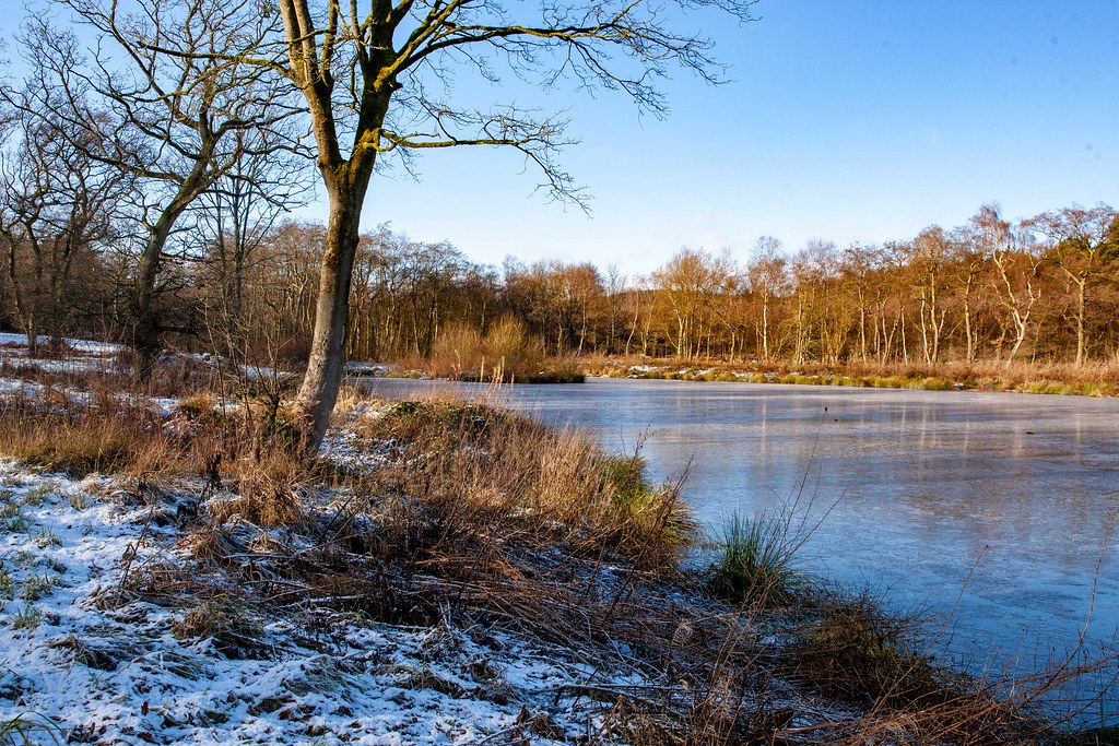 RAINWORTH WATER LAKES 2021 Flickr