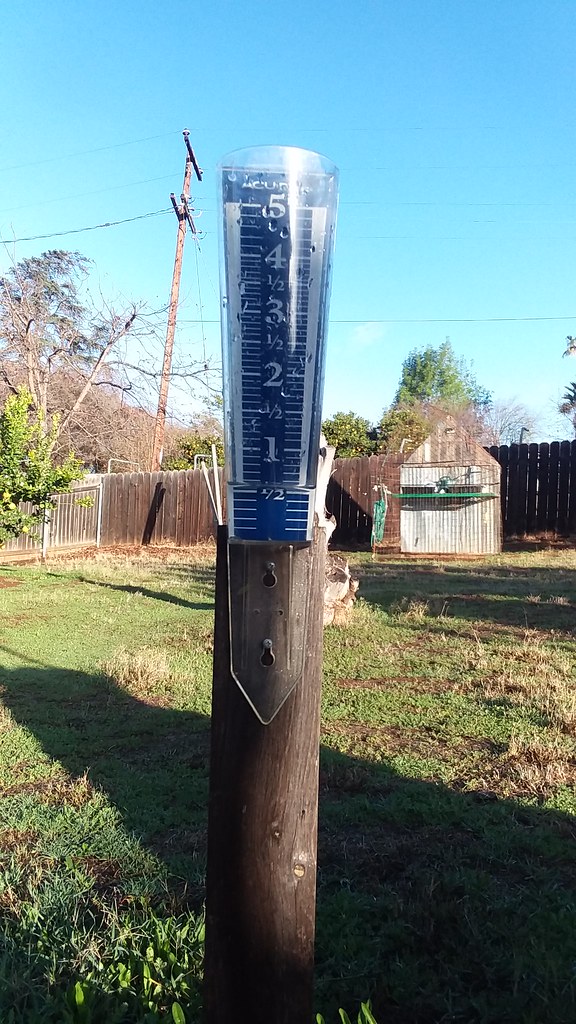 Rain gauge Tuesday morning 20210126_080557 1/2 inch from y… Flickr