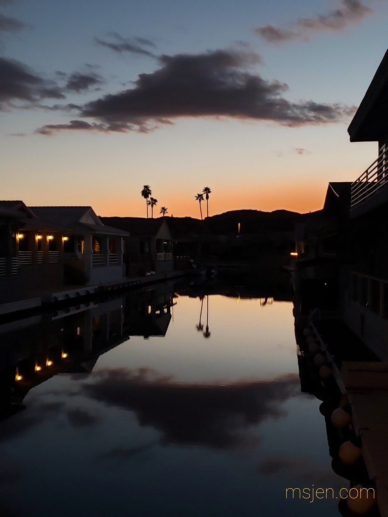 Palm Trees, Moovalya Keys, Colorado River Jenifer Hanen Flickr