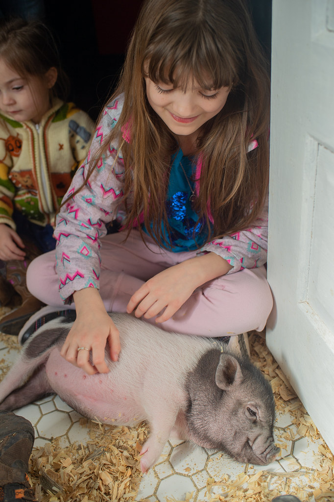 Harter Family Farm Visit Doug Schwarz Flickr