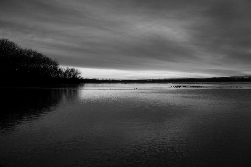 Ecorse Park 1/30/21 Flickr