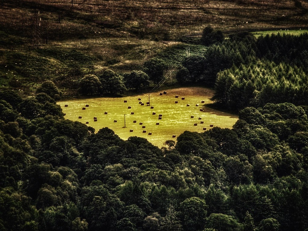 The hayfield. Hay, rolled and ready to go, in the hayfield… Flickr