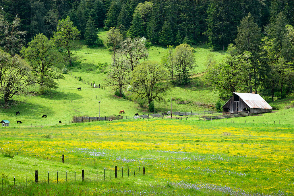 Lorane Valley Lane County, Oregon. Greg Vaughn Flickr