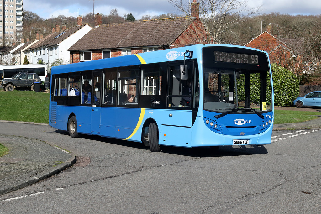 6783 Dorking Goodwyns 29th February 2020 E2195 Dave Heath Flickr